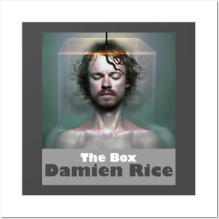 Damien Rice The Box Posters and Art